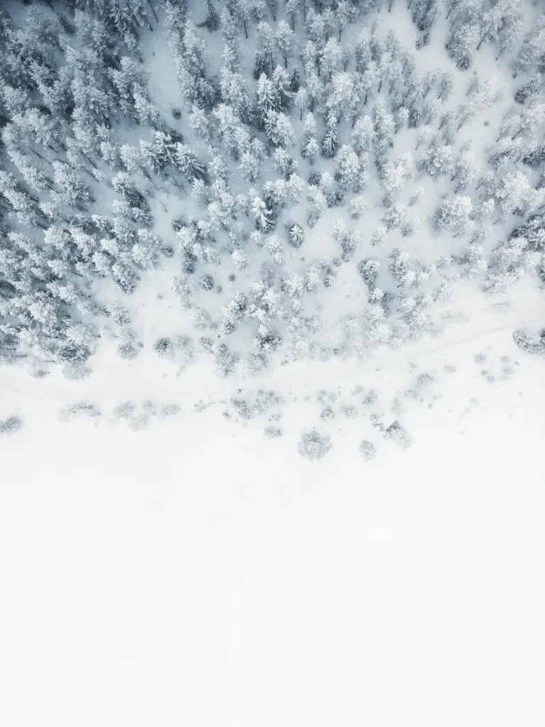 Agence M Com Marseille Altheor Courchevel Nettoyage fond montagne sapin neige